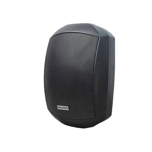 بلندگو دیواری DP-4100